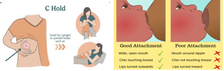 attachment breast midwives revision