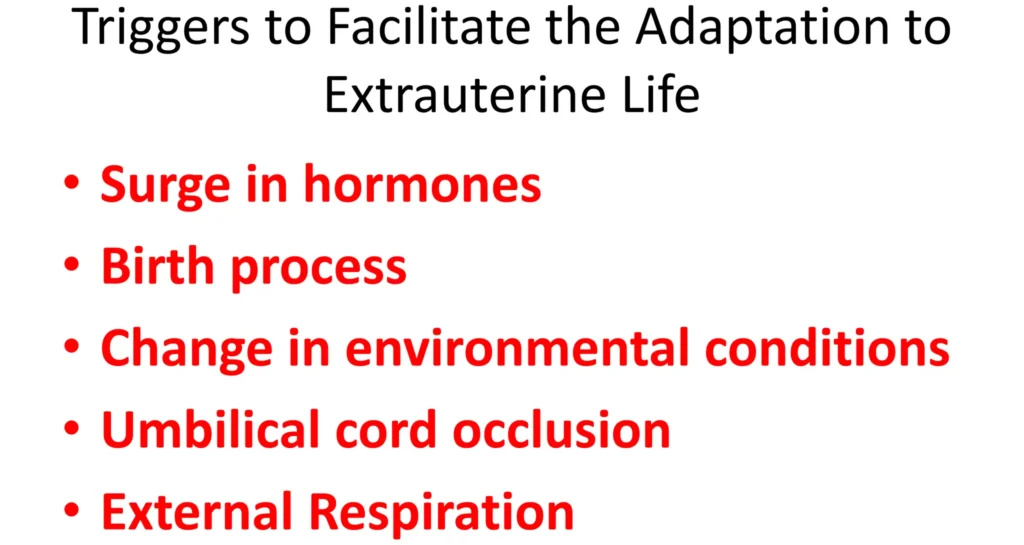 changes at birth 1