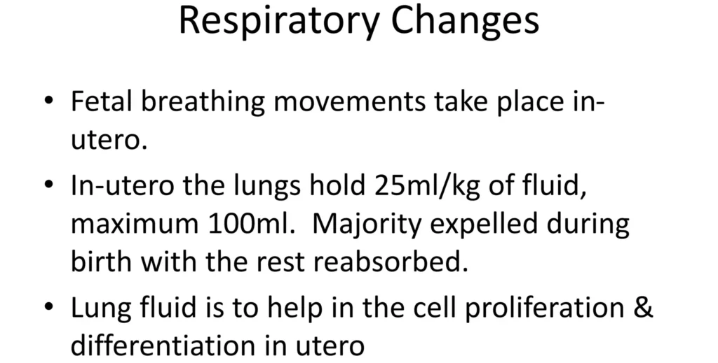 changes at birth 1