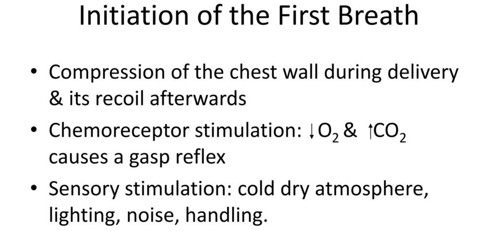 changes at birth 1