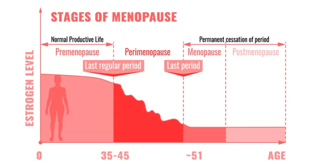 Phases of Menopause