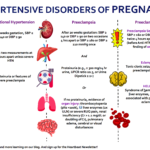 ESSENTIAL HYPERTENSION IN PREGNANCY