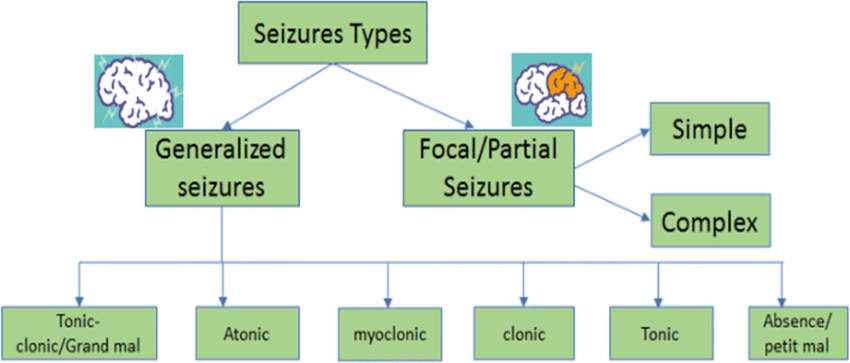 Types of Epilepsy