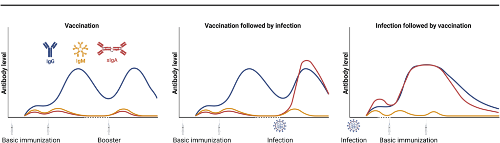 Vaccines and Immunoglobulins